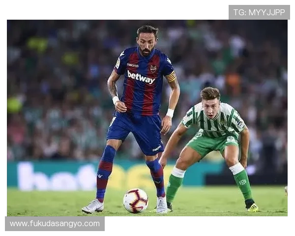 星空体育台：专业评论团队带来深度赛事分析与精彩解说