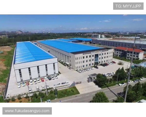 星空体育集团网址的最新动态与未来发展规划分析