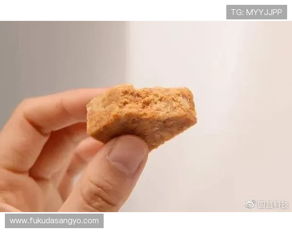 星空正规官网安全验证机制详细介绍高效的安全保障措施为您的账号安全保驾护航提供放心的在线服务平台 星空正规官网安全验证机制详细介绍高效的安全保障措施为您的账号安全保驾护航提供放心的在线服务平台