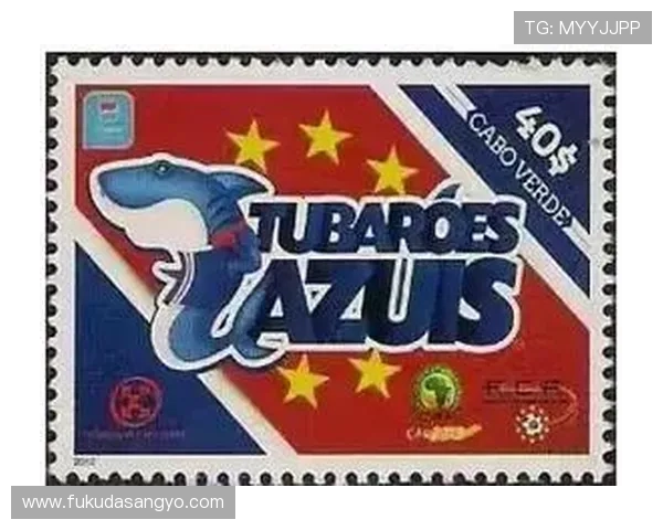 2026年世界杯西班牙对佛得角比赛签证办理流程与注意事项详解